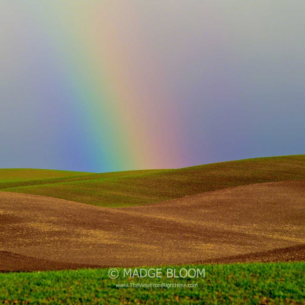 Over the Rainbow – Rurality Blog Hop #6