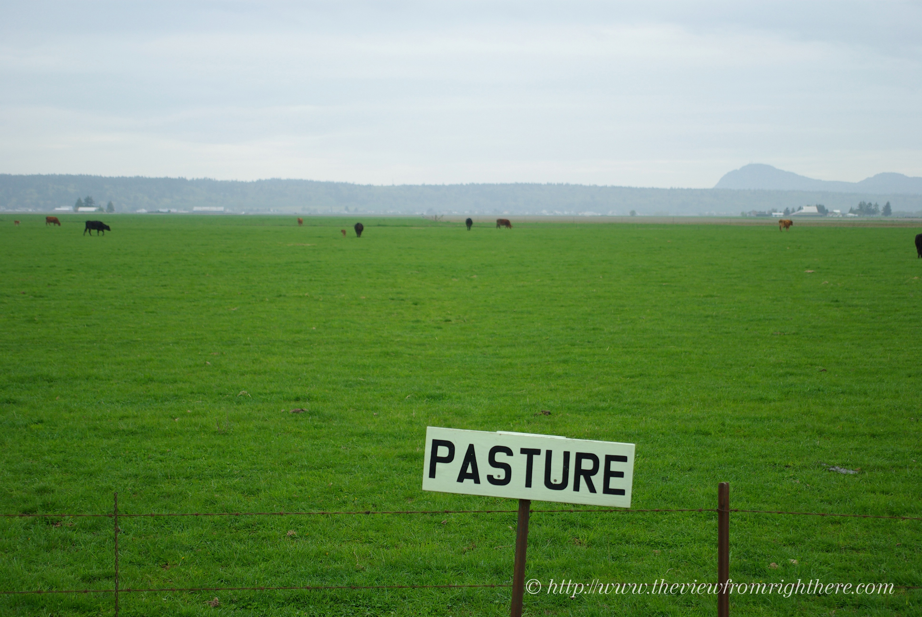 Pasture – Really?!?