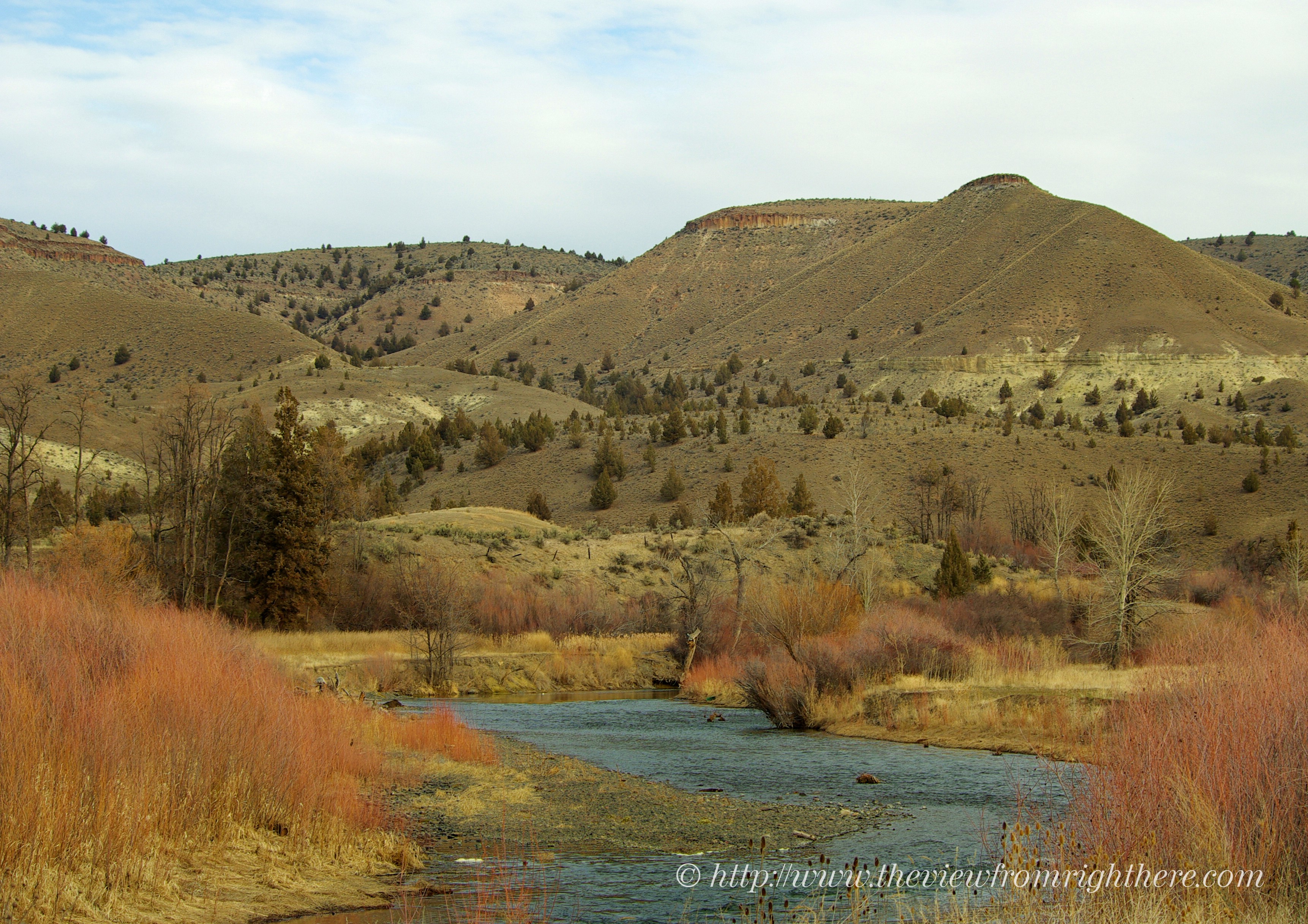 John Day River Near the Painted Hills