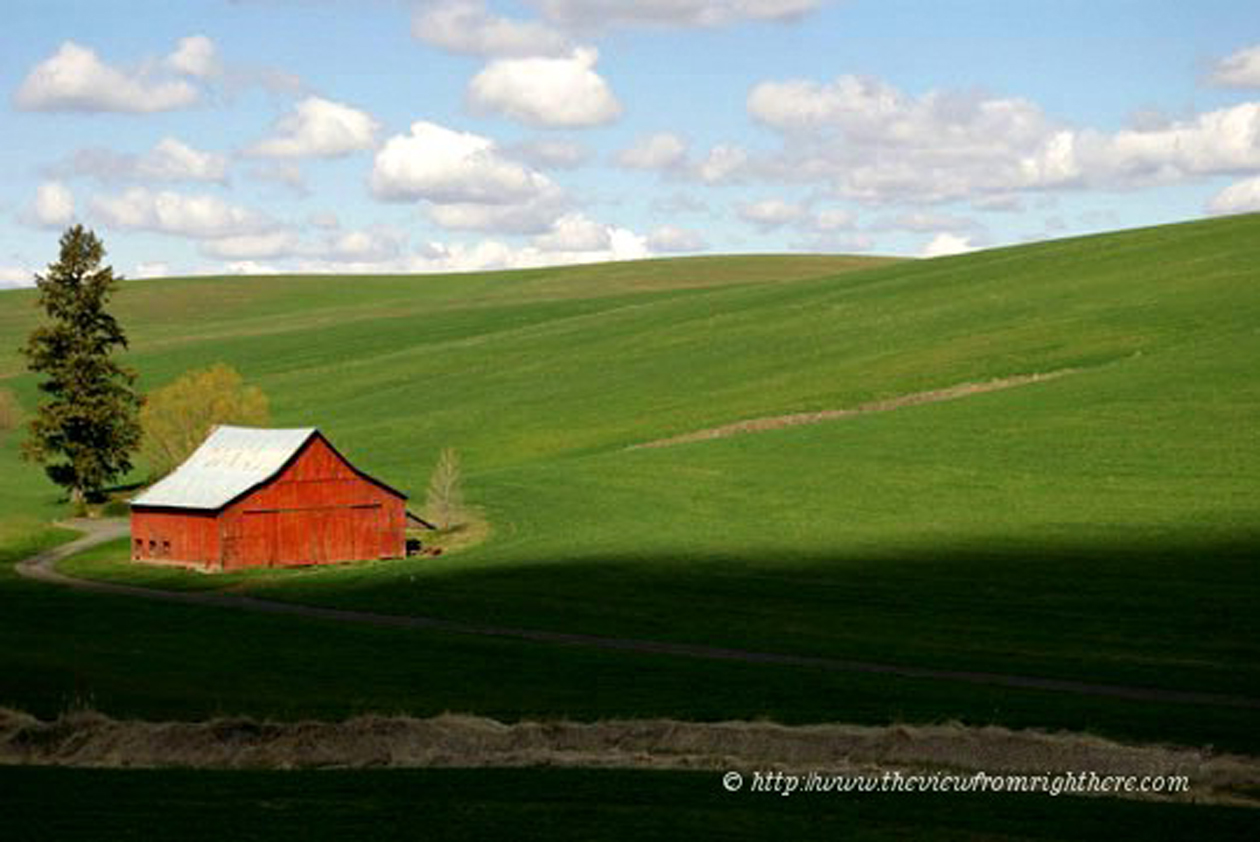 Red Barn in the Palouse Along Highway 195 South of Colfax, WA