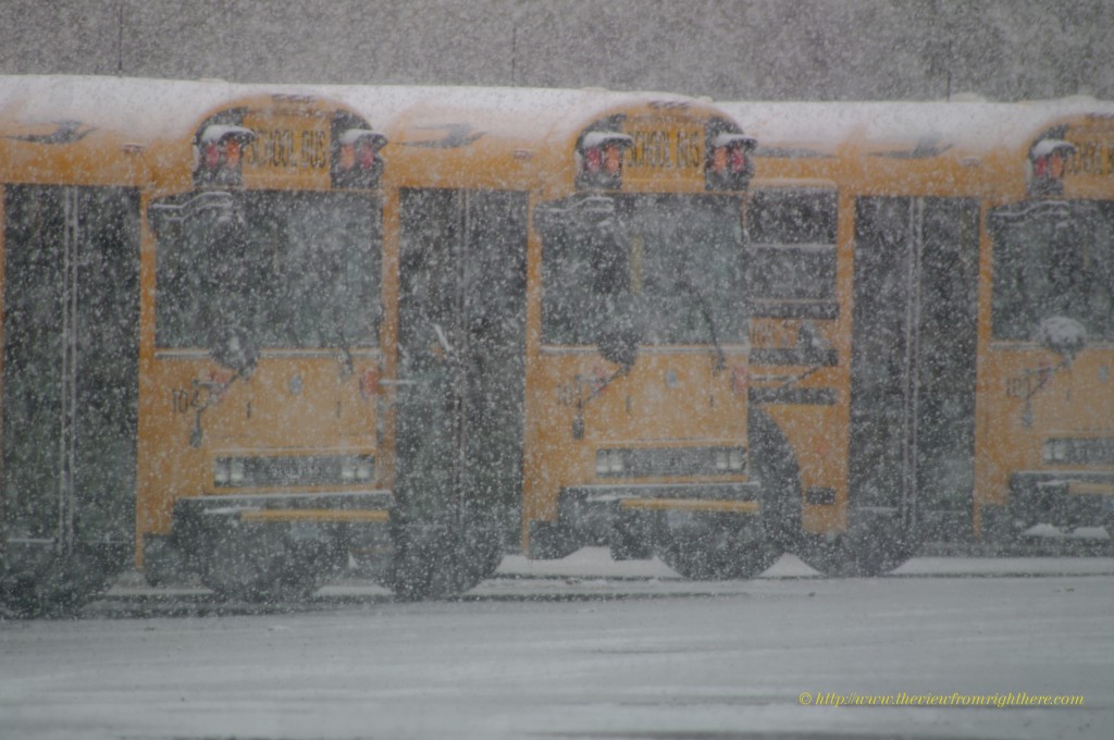 School Buses Waiting - Snow...No School