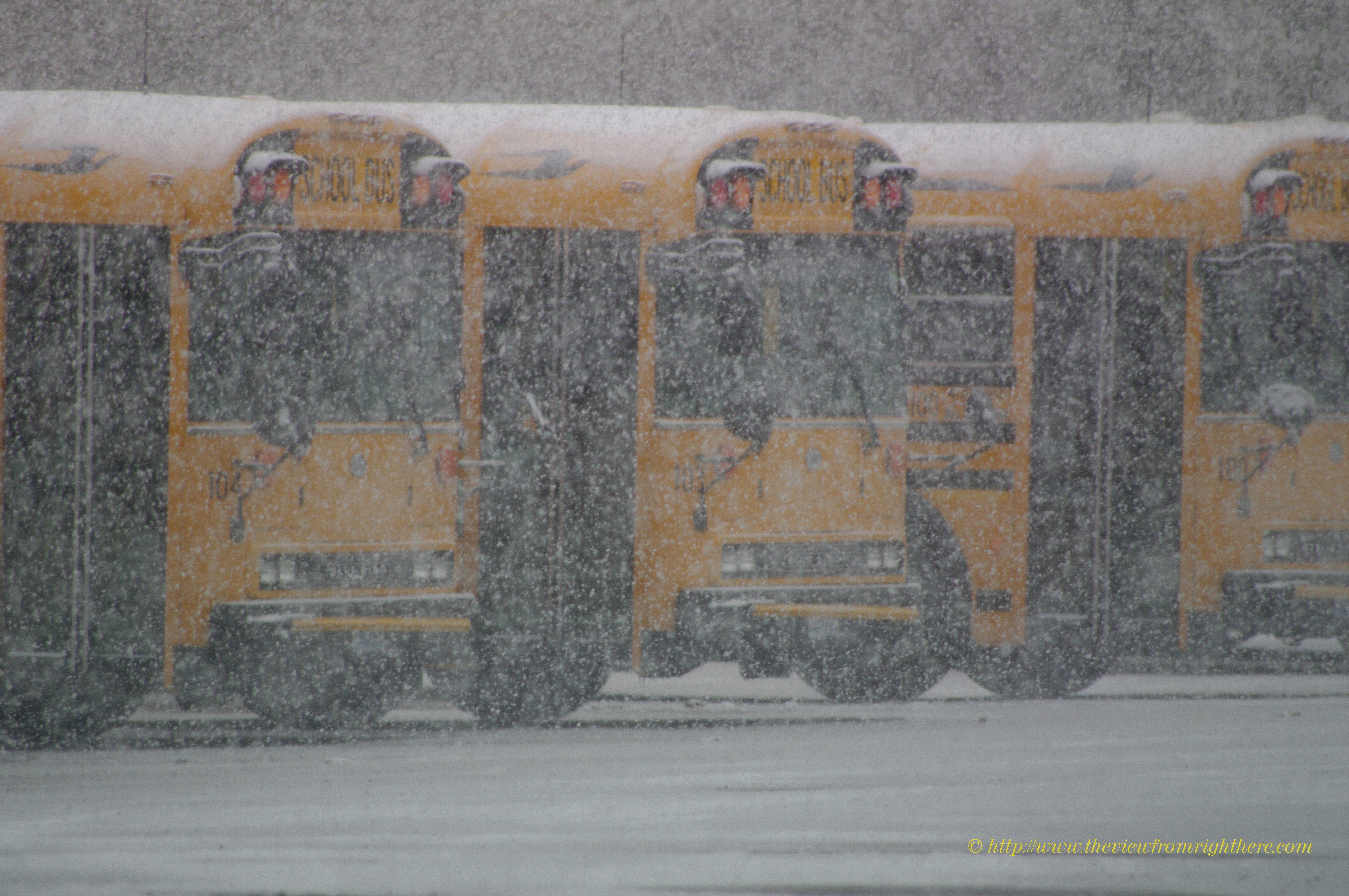 School Buses Waiting – Snow…No School