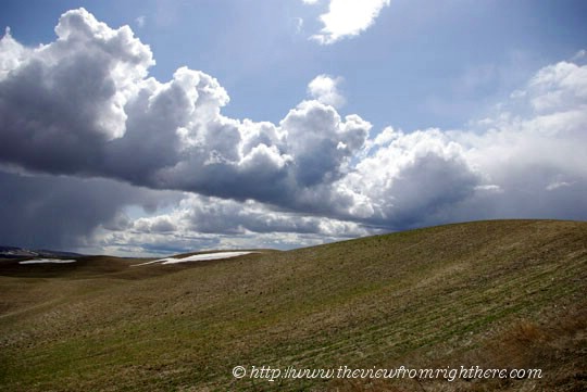 Spring Comes to the Palouse