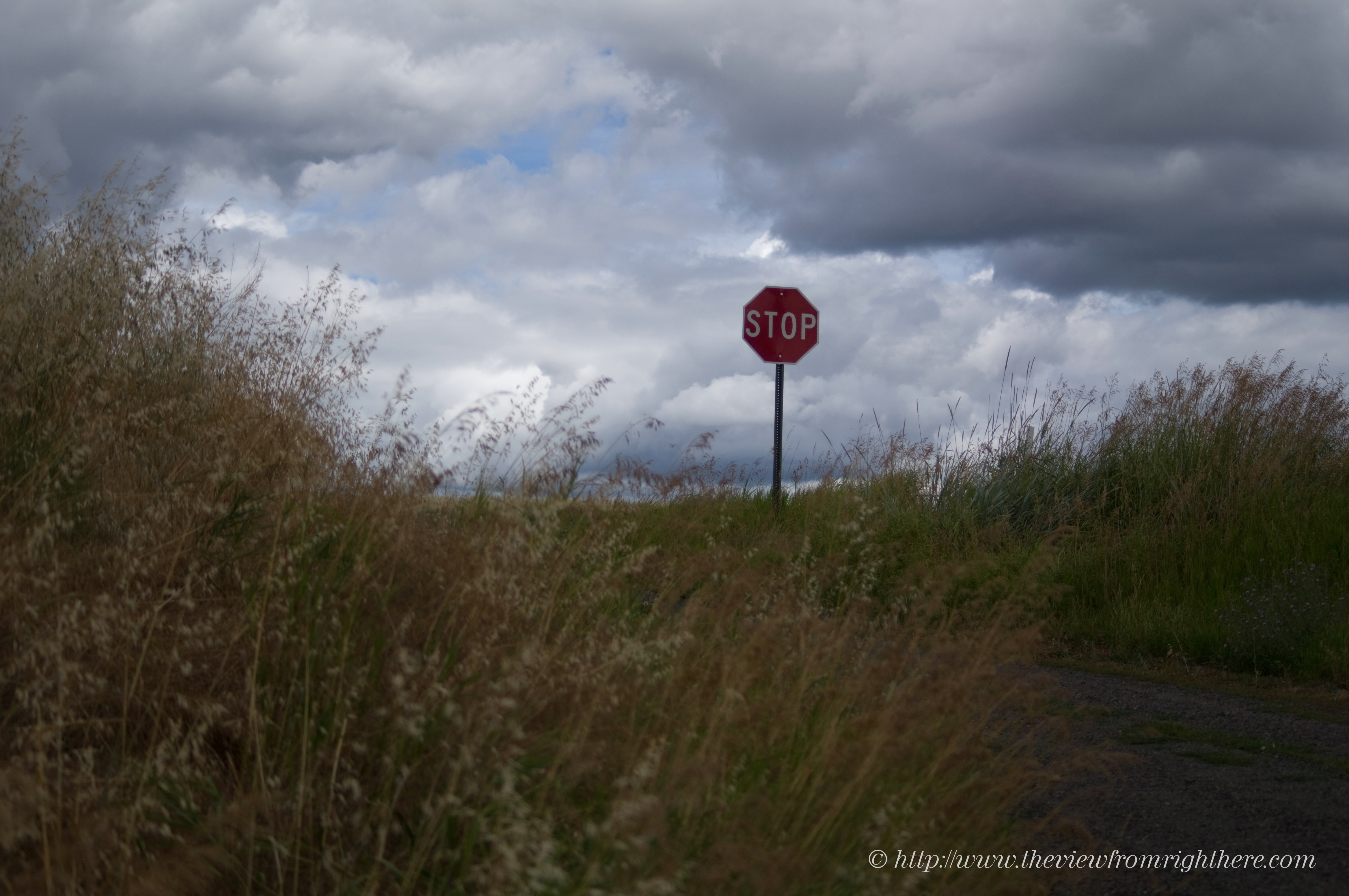 Stop Sign in the Middle of Nowhere – Rural Spokane County, WA