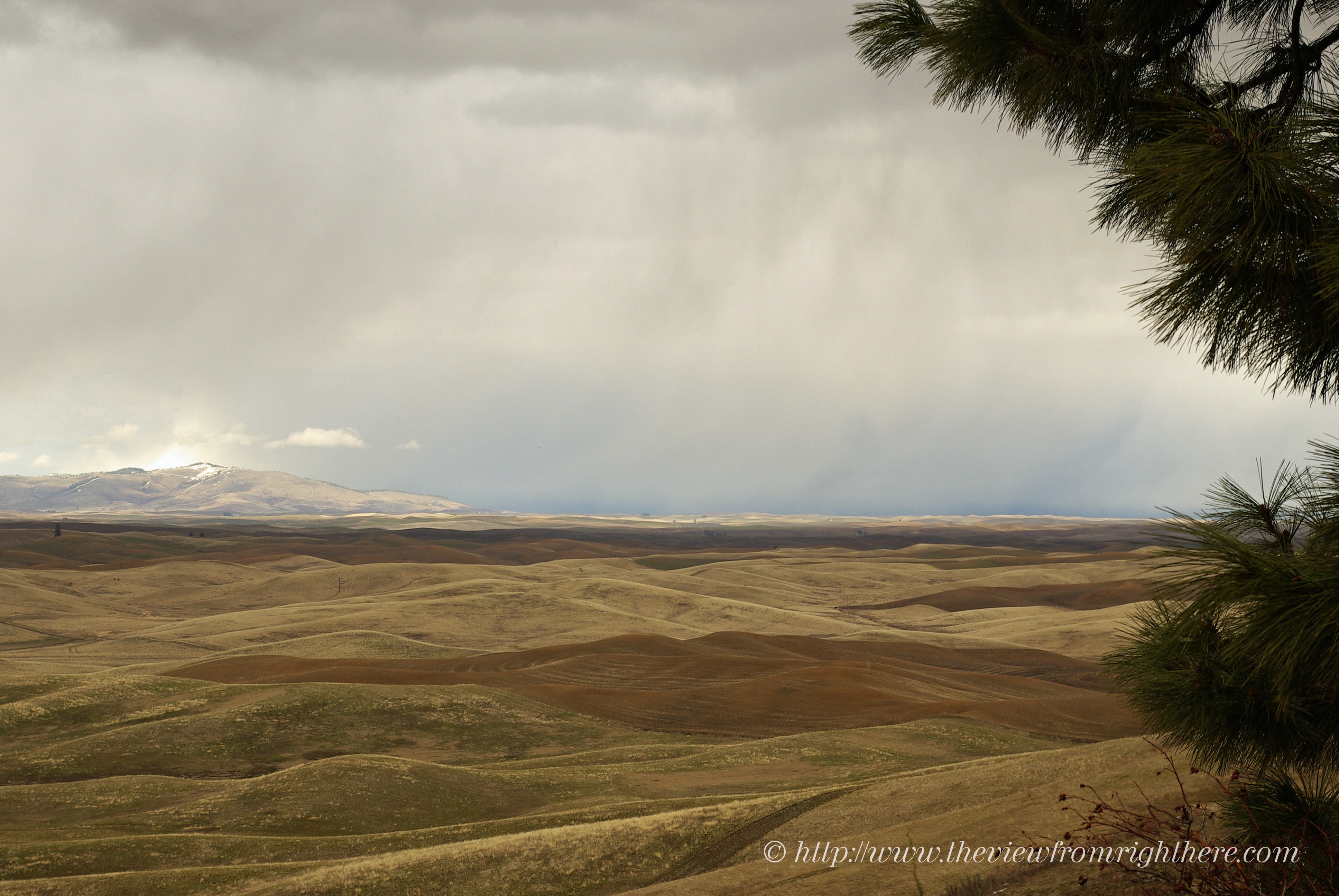 Spring Storm Passing Kamiak Butte