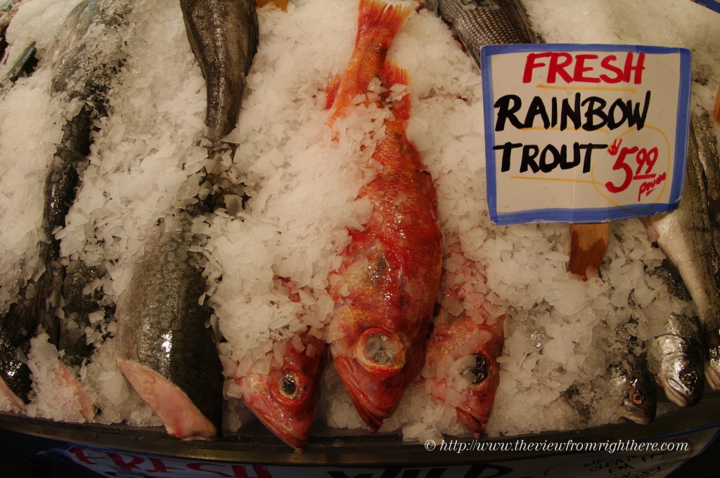 Rainbow Trout... Not!
