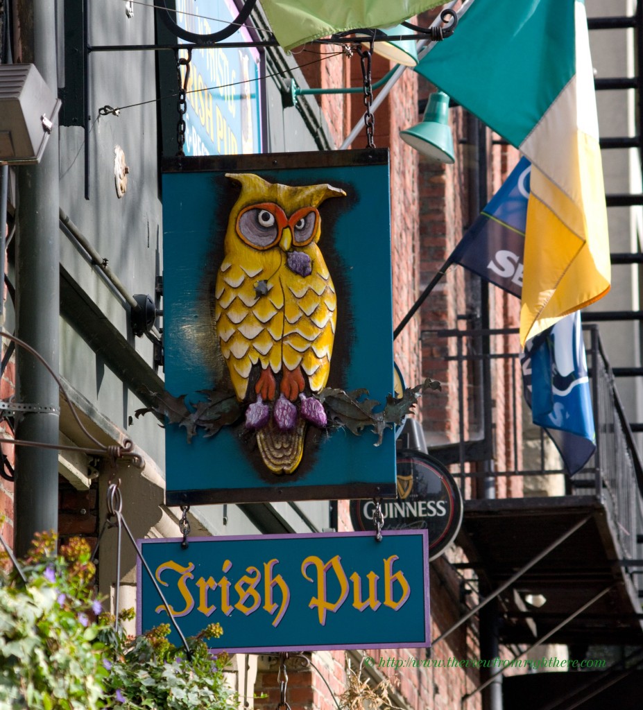 The Owl and Thistle Irish Pub - Sign