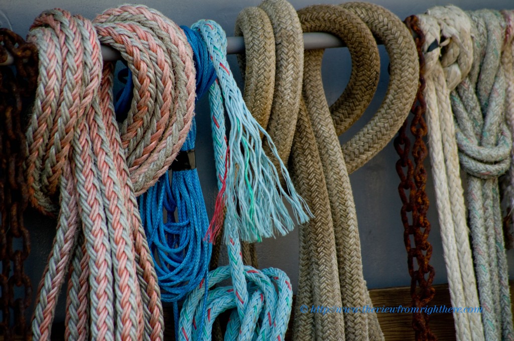 All Tied Up in Knots