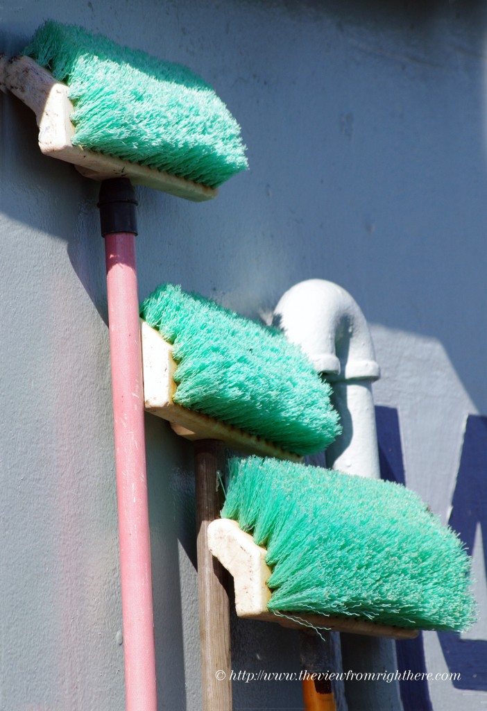 Keep It Clean - Brushes at the Ready