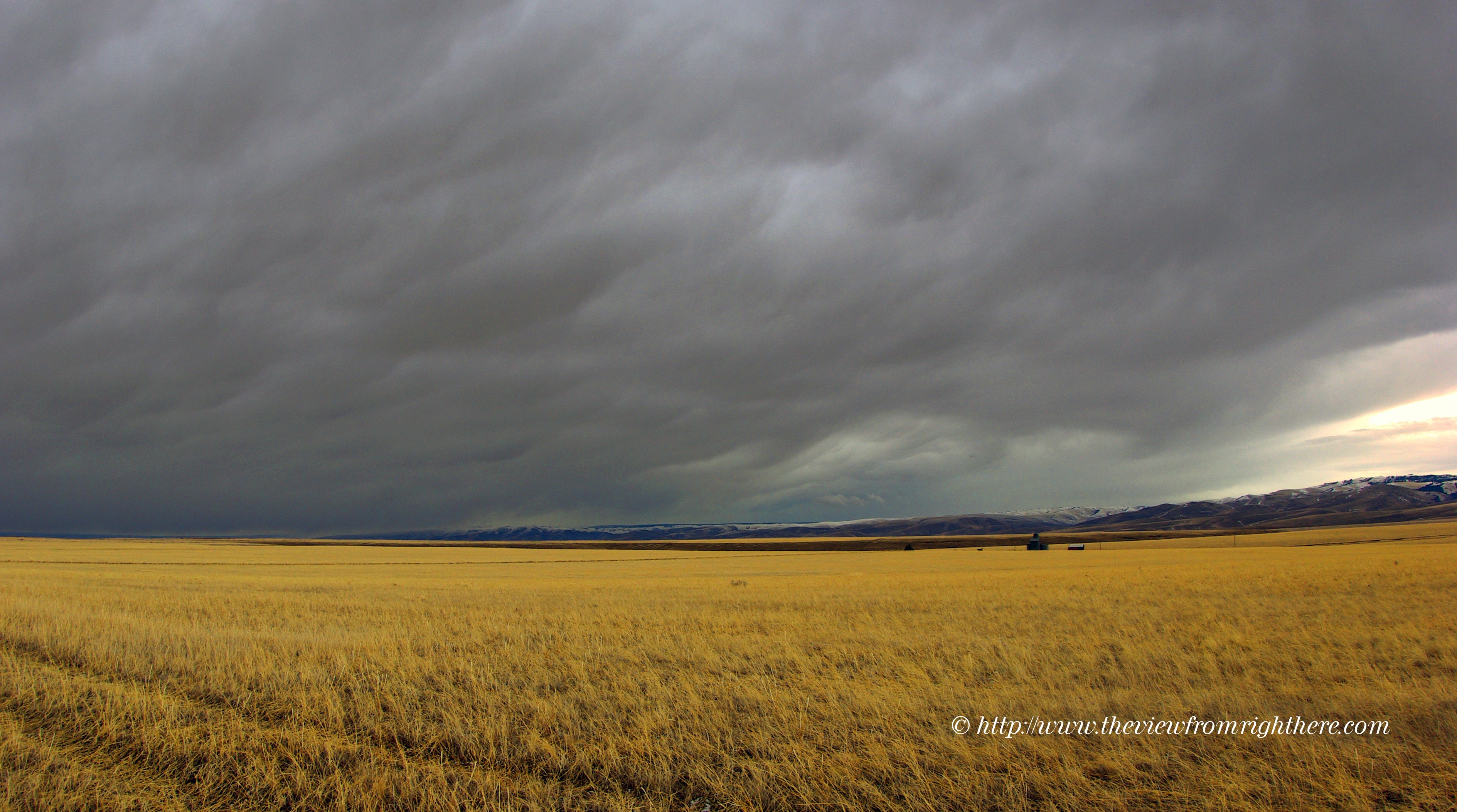 Spring Storm Over Wheat Fields