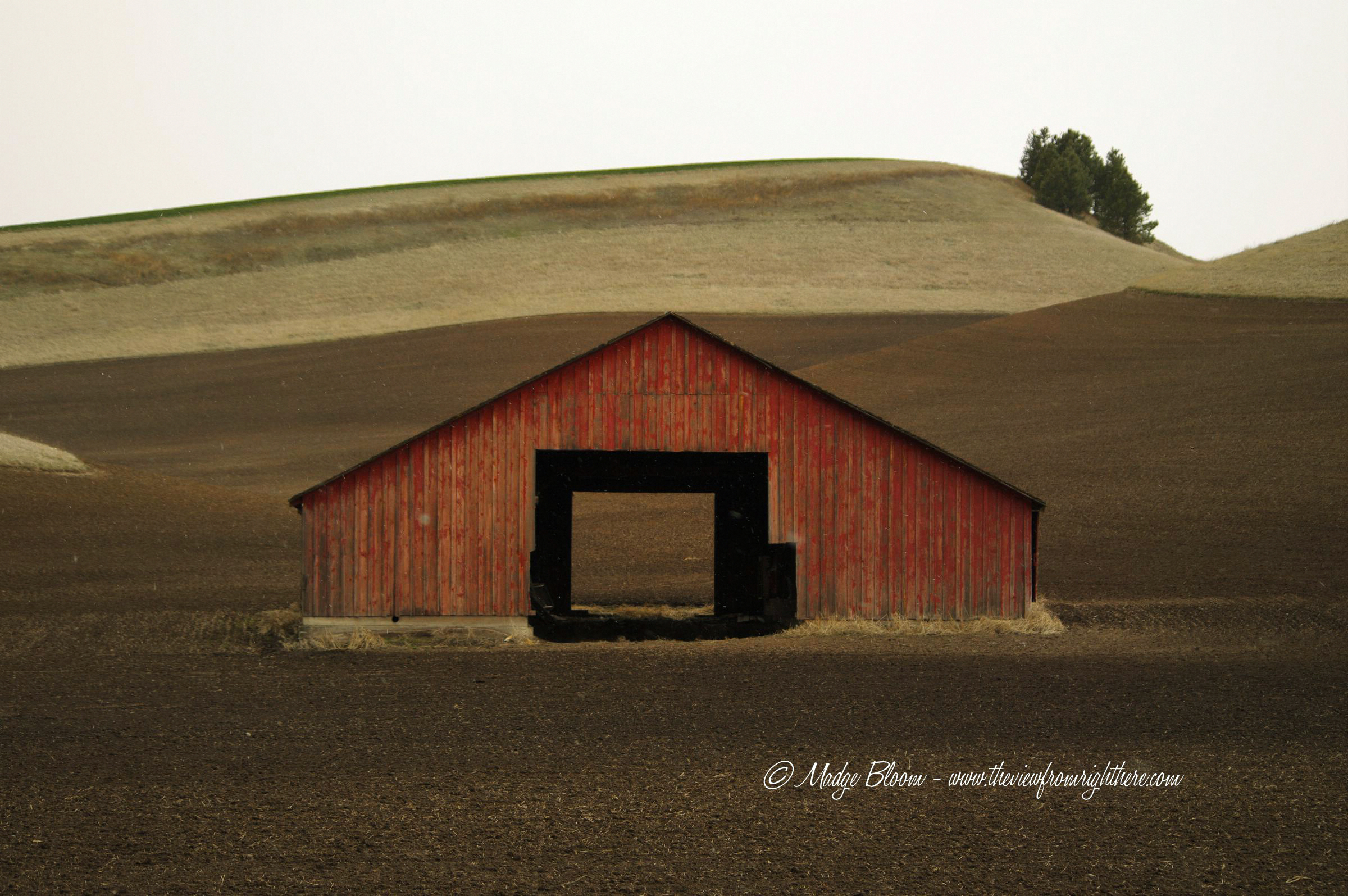 See Through Red Barn in the Palouse