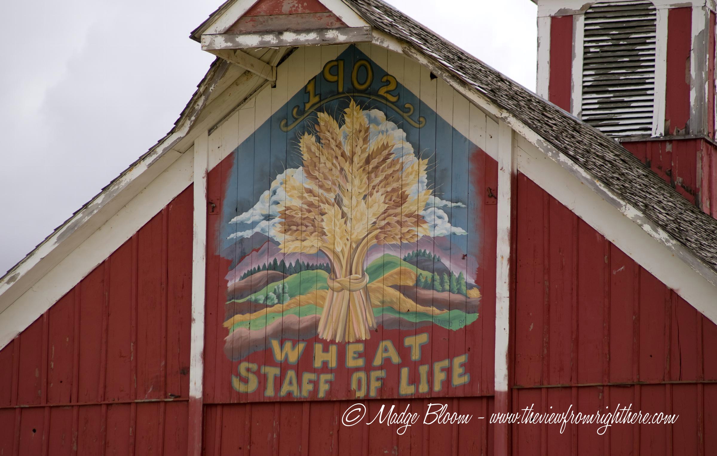 Wheat – The Staff of Life