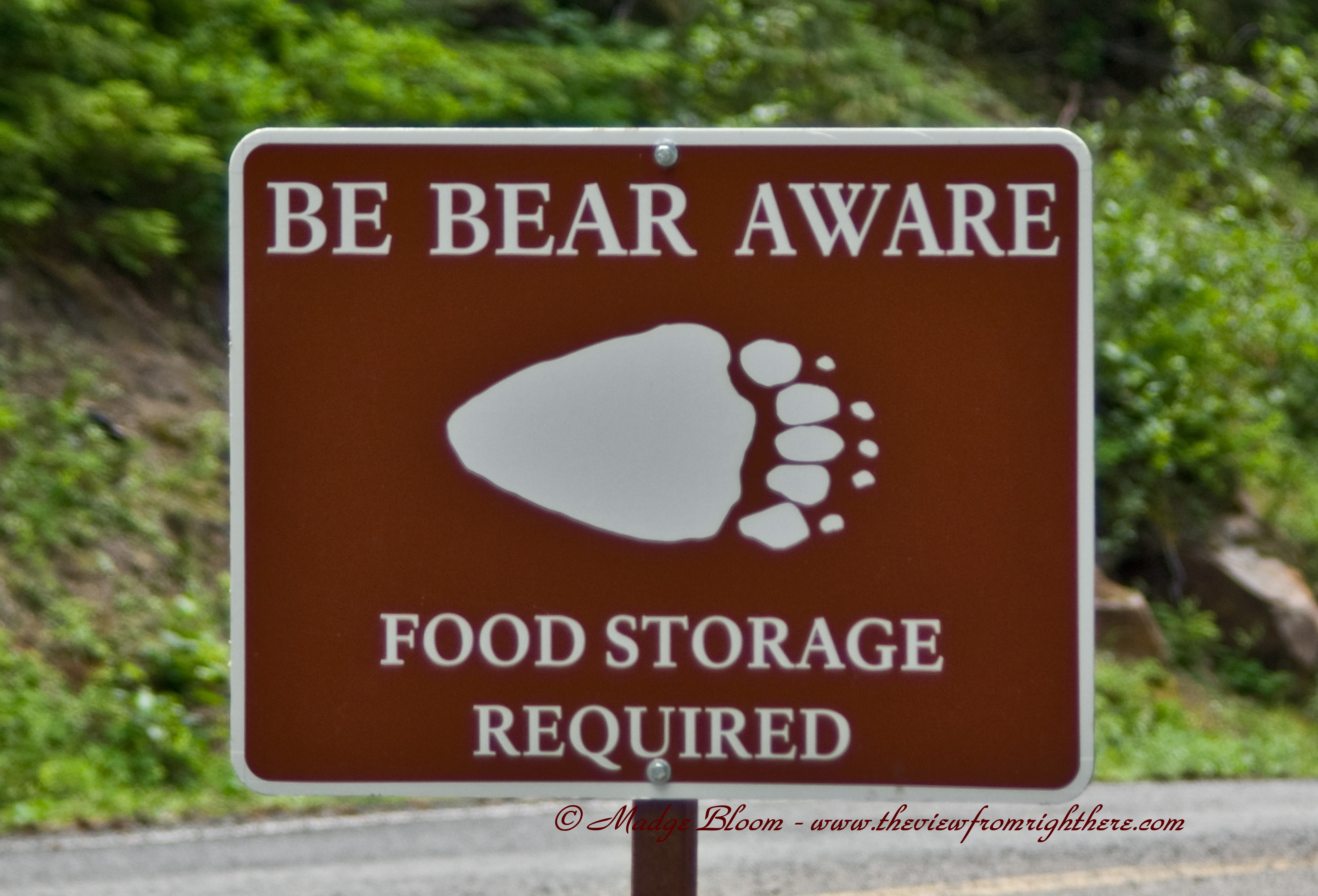 Be Bear Aware