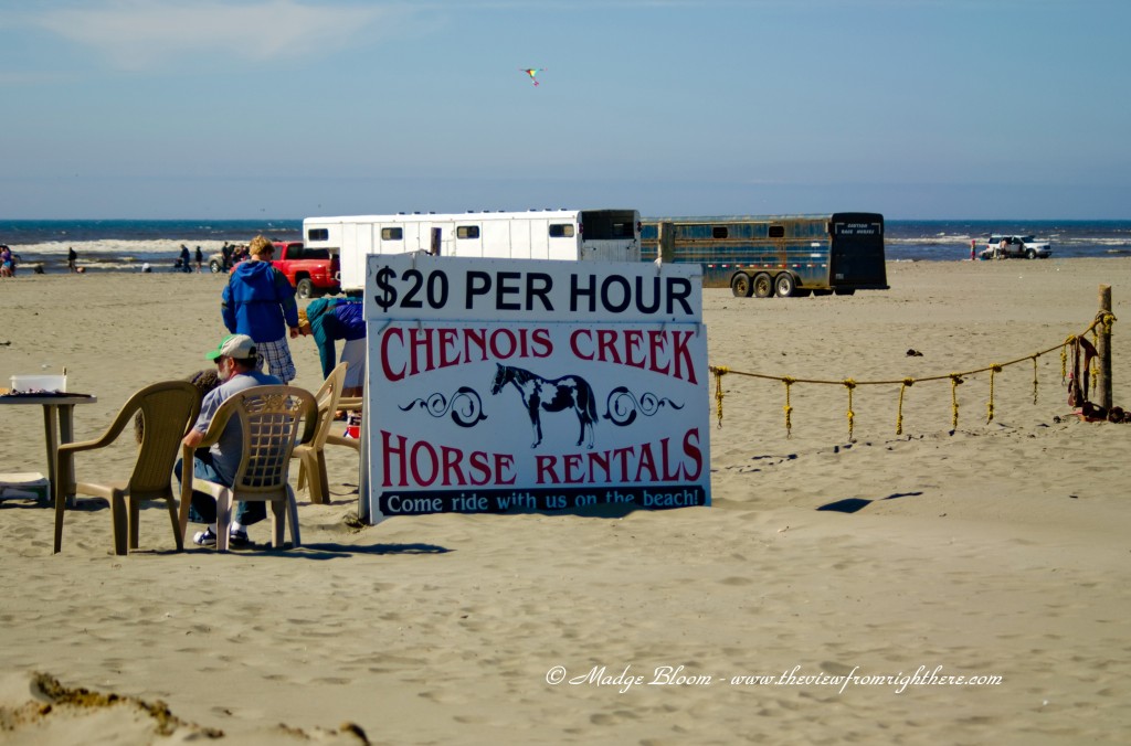 Chenois Creek Horse Rentals - $20 Rides