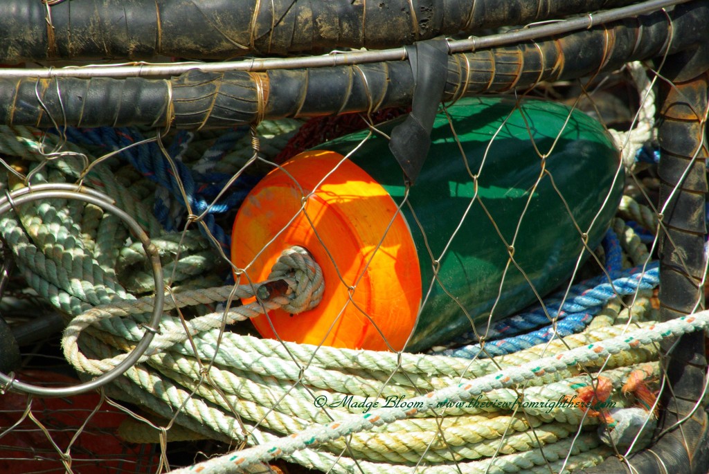Dungeness Crab Pot and Buoy on F/V Chelsea at Fishermens Terminal