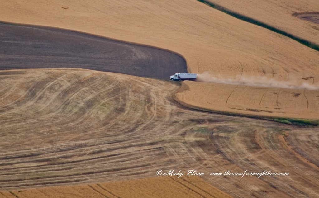 Farm truck heading to the grain elevator in the Palouse