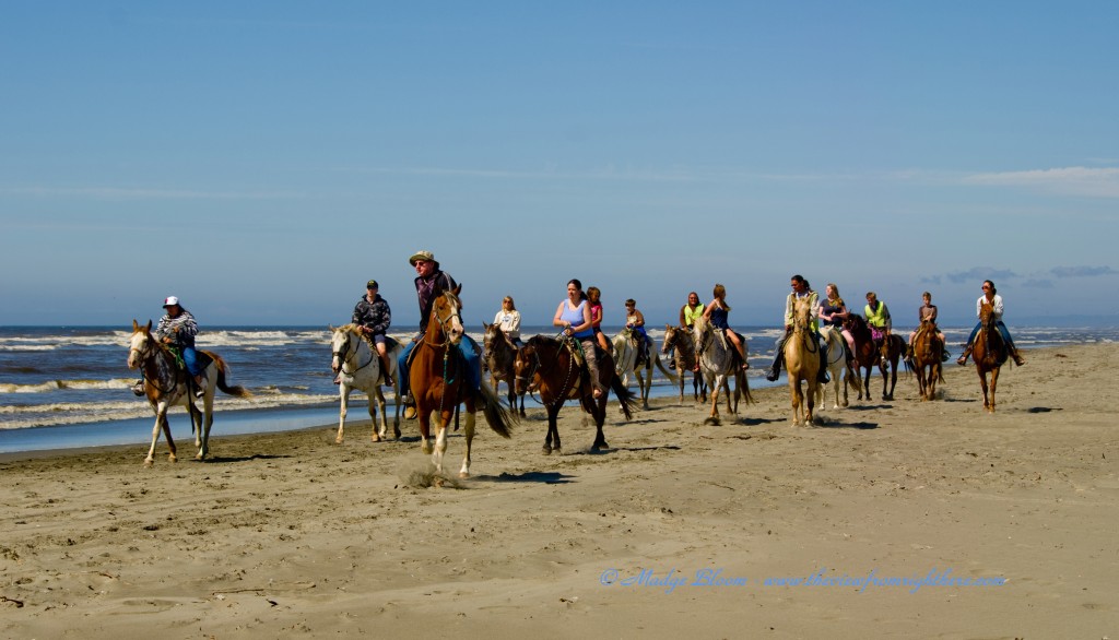 Horseback Riding on the Beach at Ocean Shores, WA