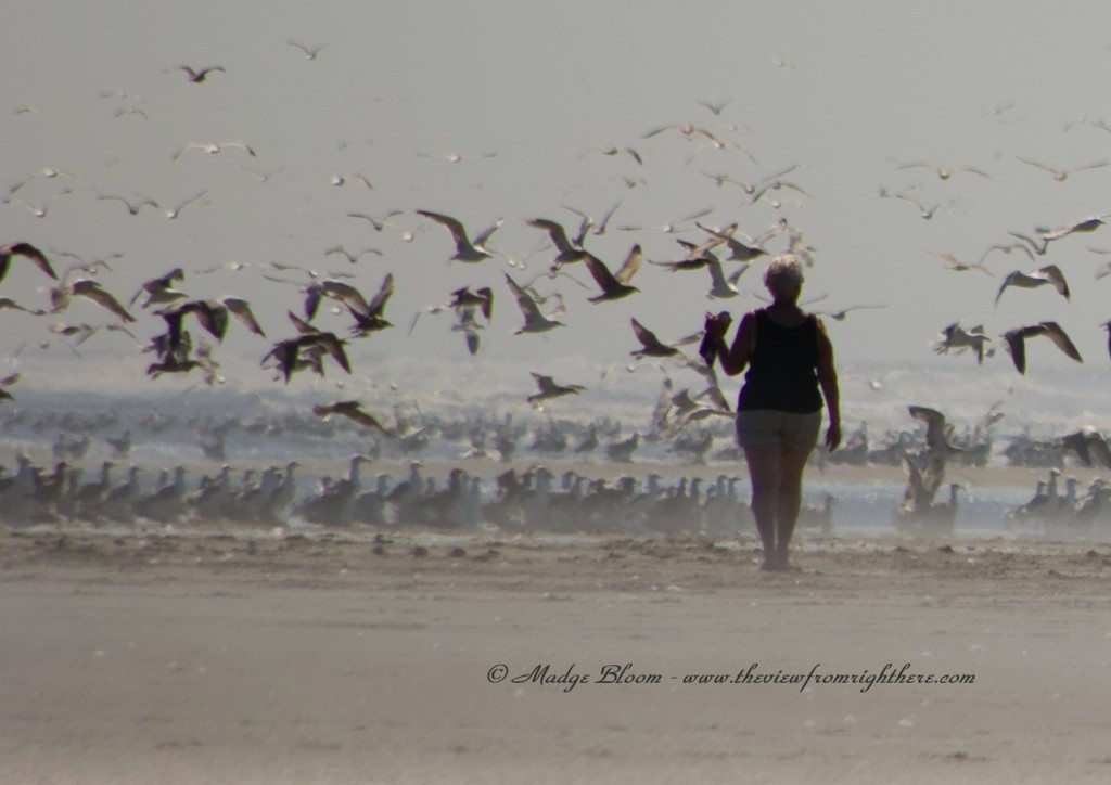 Silhouette of Woman and Seagulls on the Beach in Ocean Shores, WA