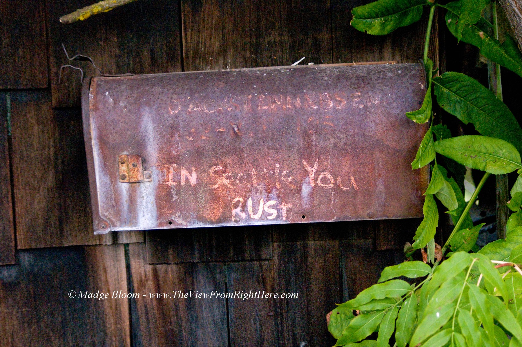 Don’t Call Me Rusty…
