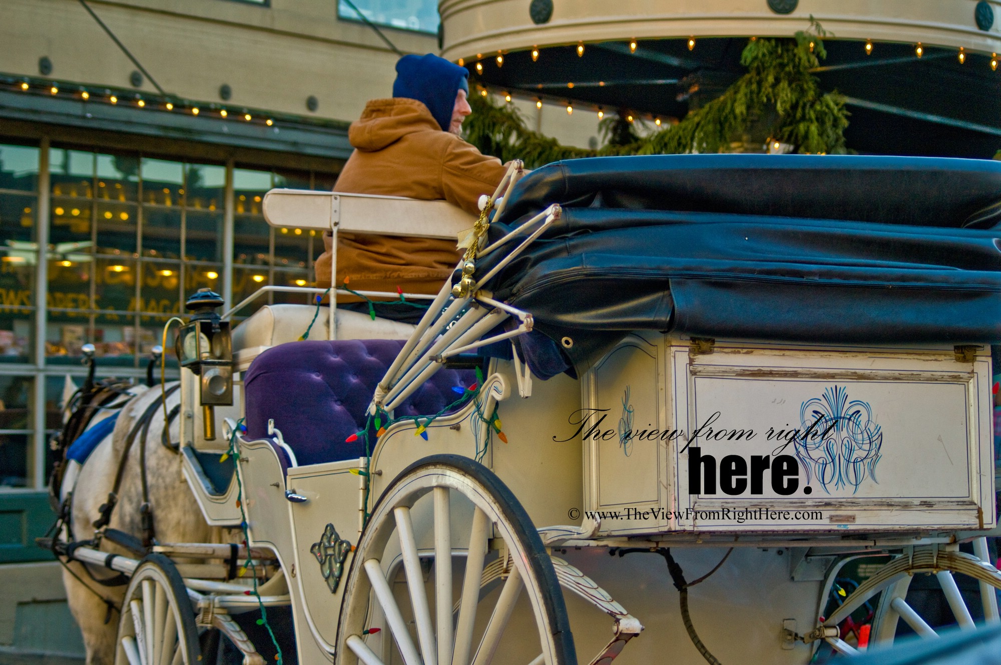 See Christmas in Seattle by Carriage