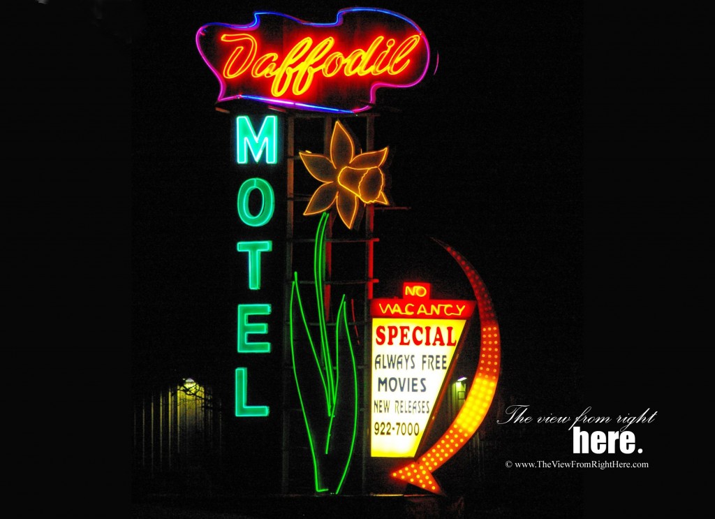 We'll Leave a Light on For You at the Daffodil Motel