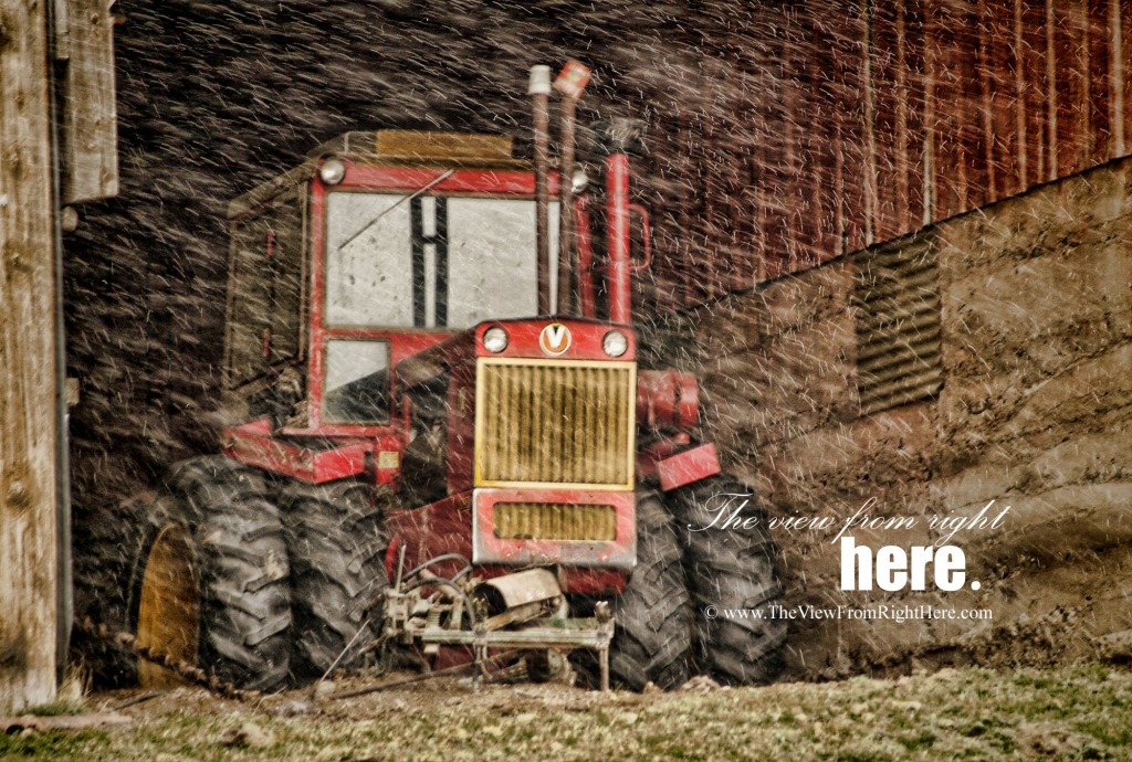 Sheltered from the Storm - Farm Tractor