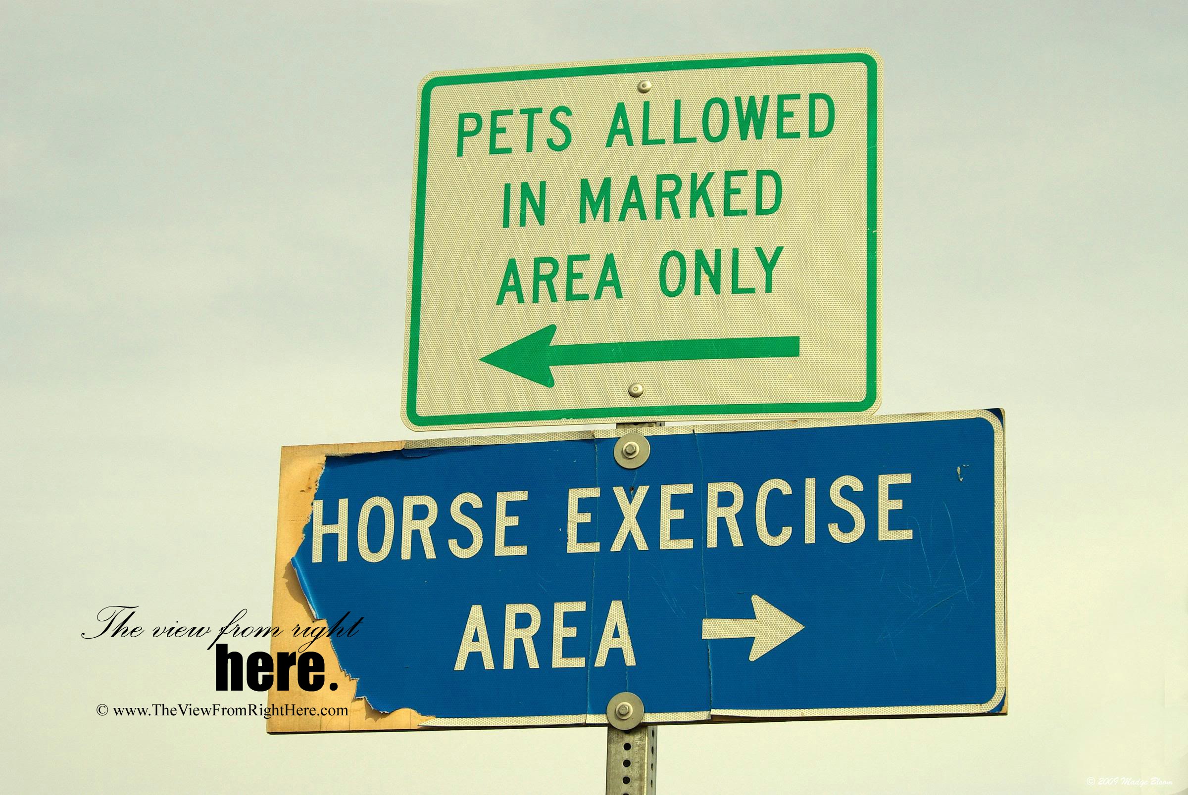 Horse Exercise Area