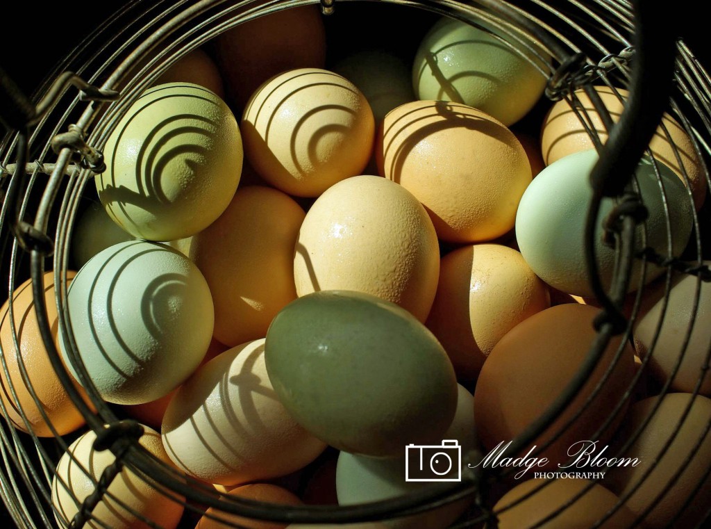Fresh Eggs in a Basket