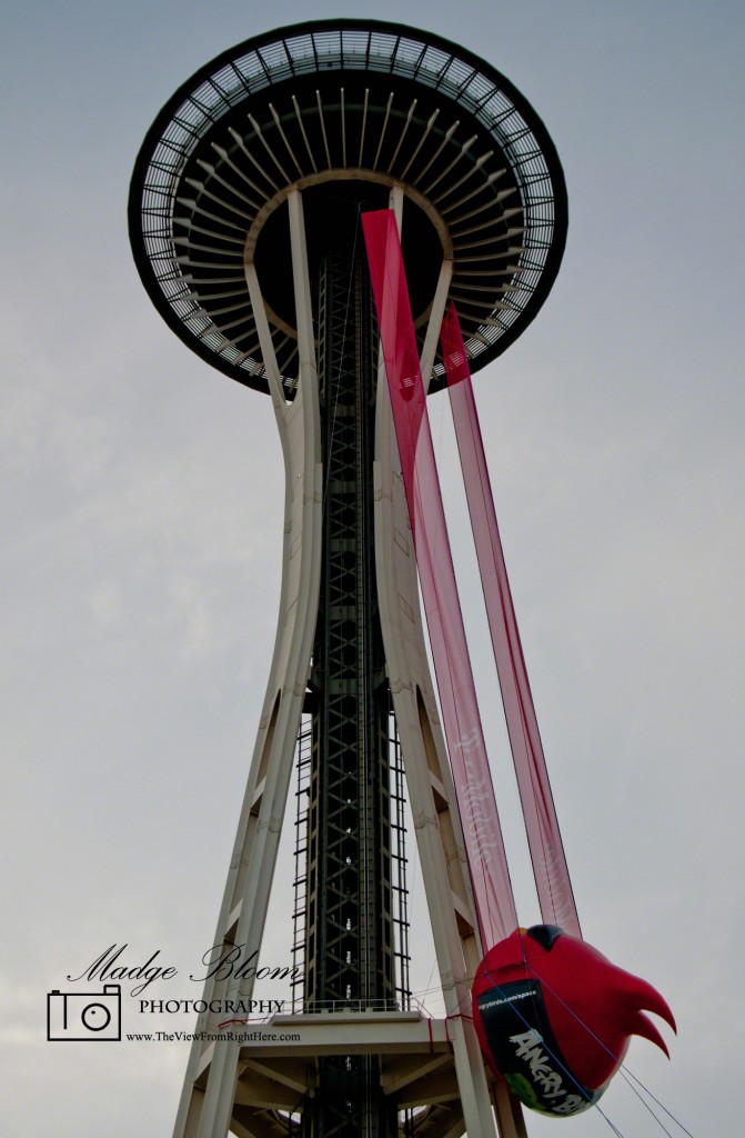 Space Needle (Full Length) With Angry Bird