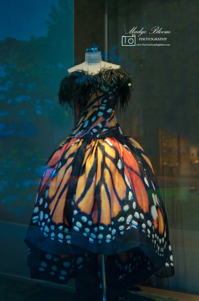Metamorphosis - Luly Wang - Couture Dress