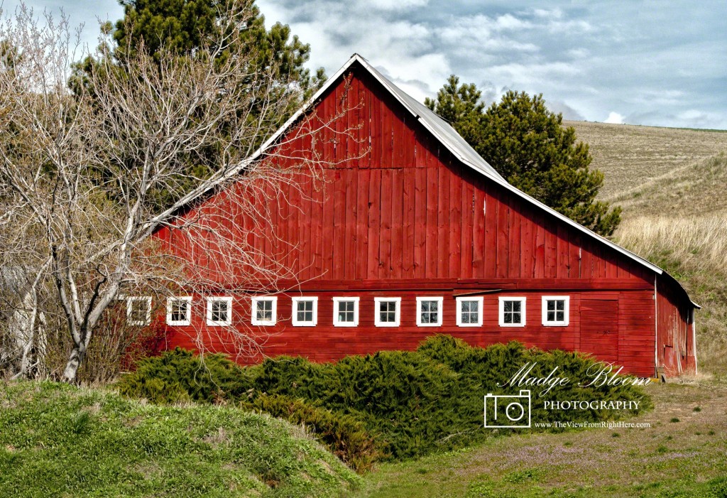 Red Barn on Hwy 26 - Near Colfax WA