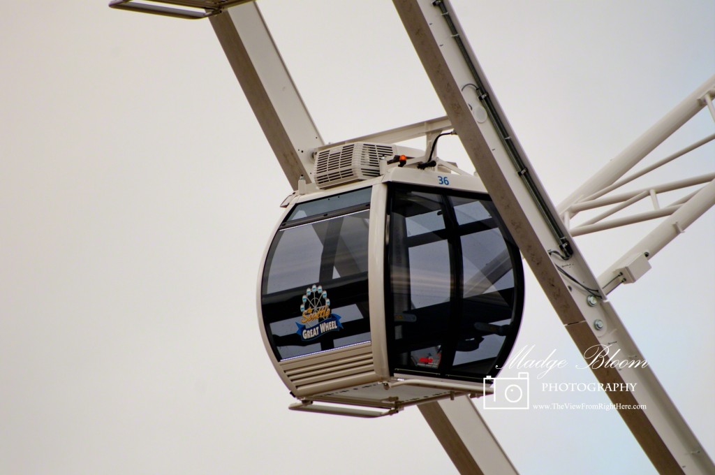 The Seattle Great Wheel - Gondola