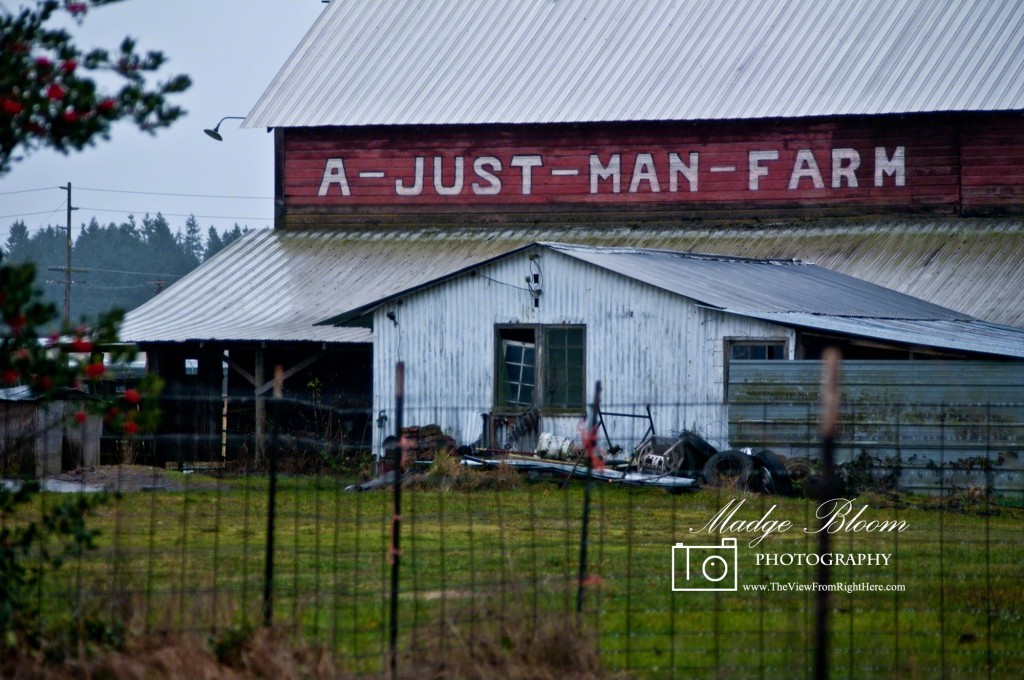 A Just Man Farm - Yelm WA