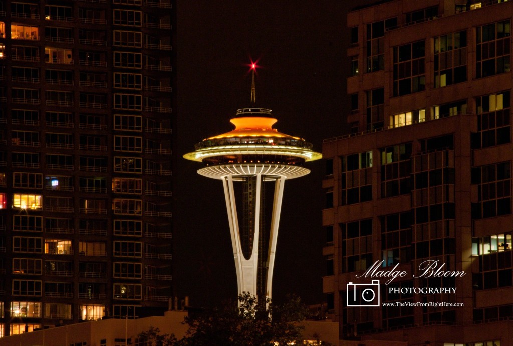 Space Needle - Fiftieth Anniversary - Close Up