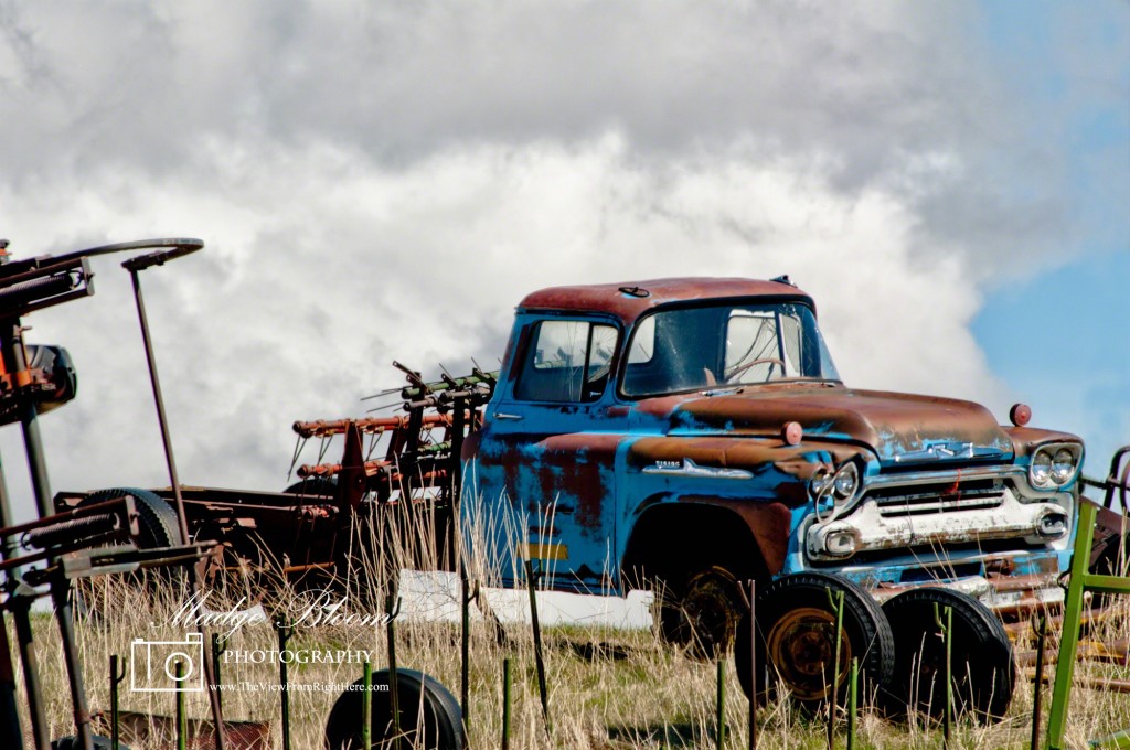 Old Chevy Pickup - Resting and Rusting