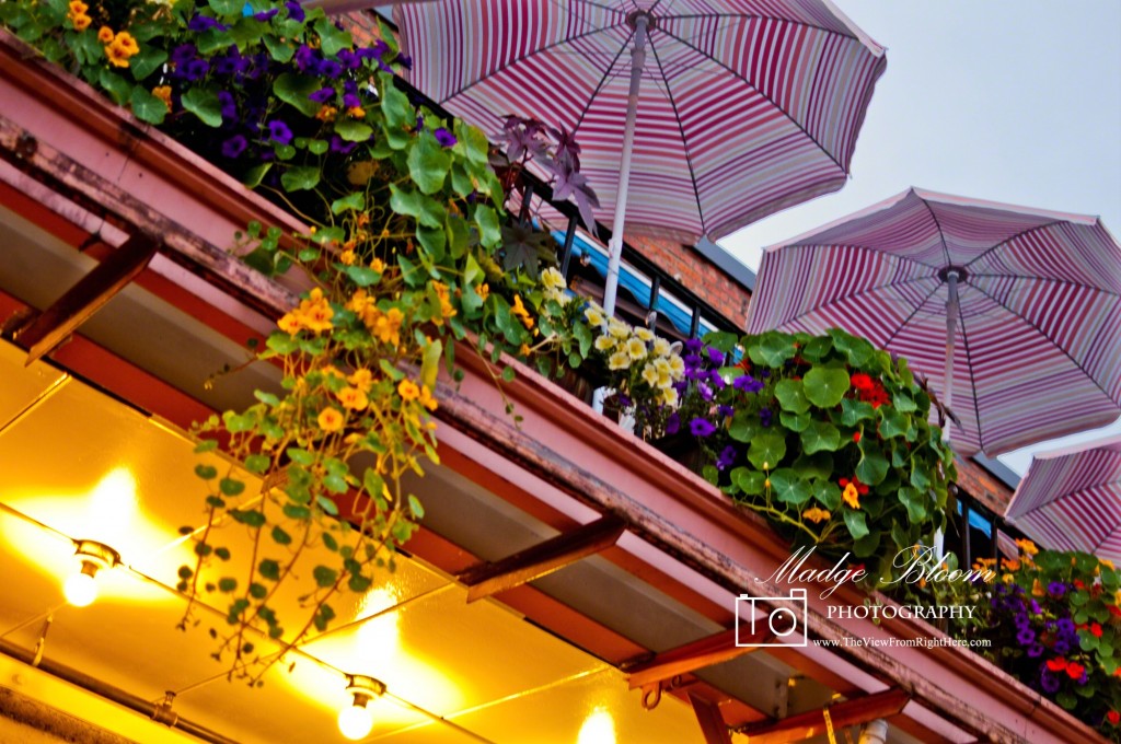 Umbrellas at the Market - Copacabana Cafe