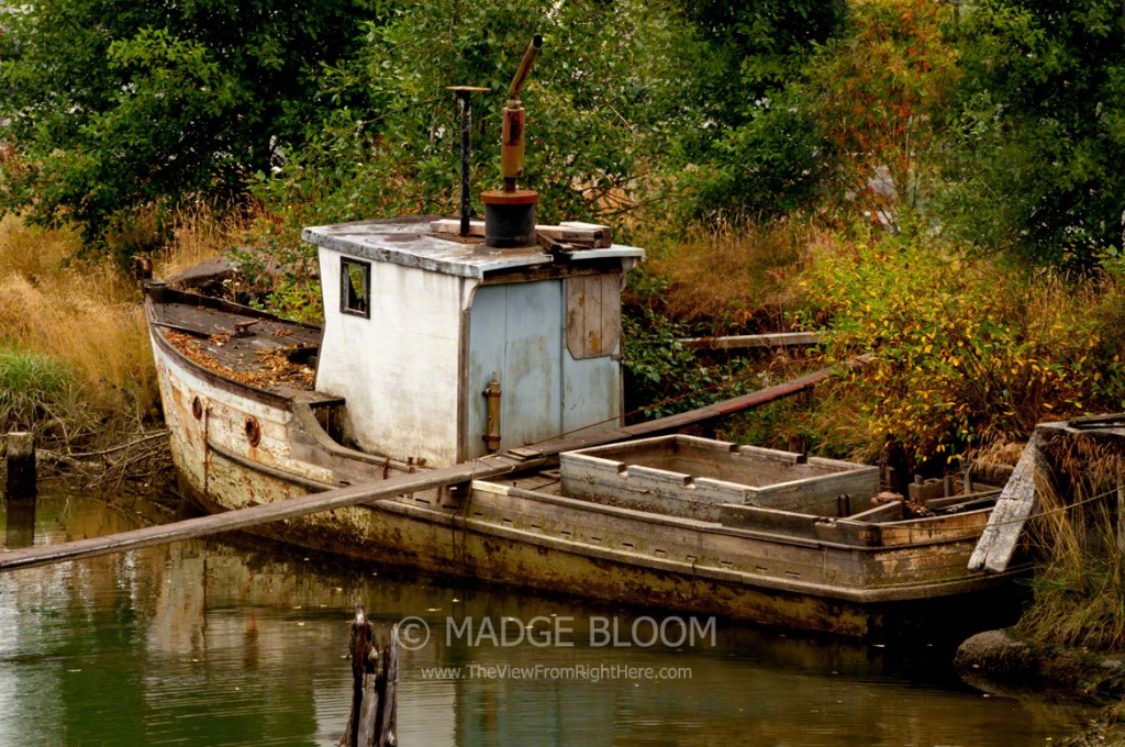 Derelict - Abandoned Boat Along the Wishkah River in Hoquiam, WA