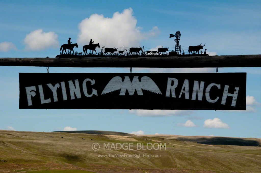 Flying M Ranch - Endicott WA