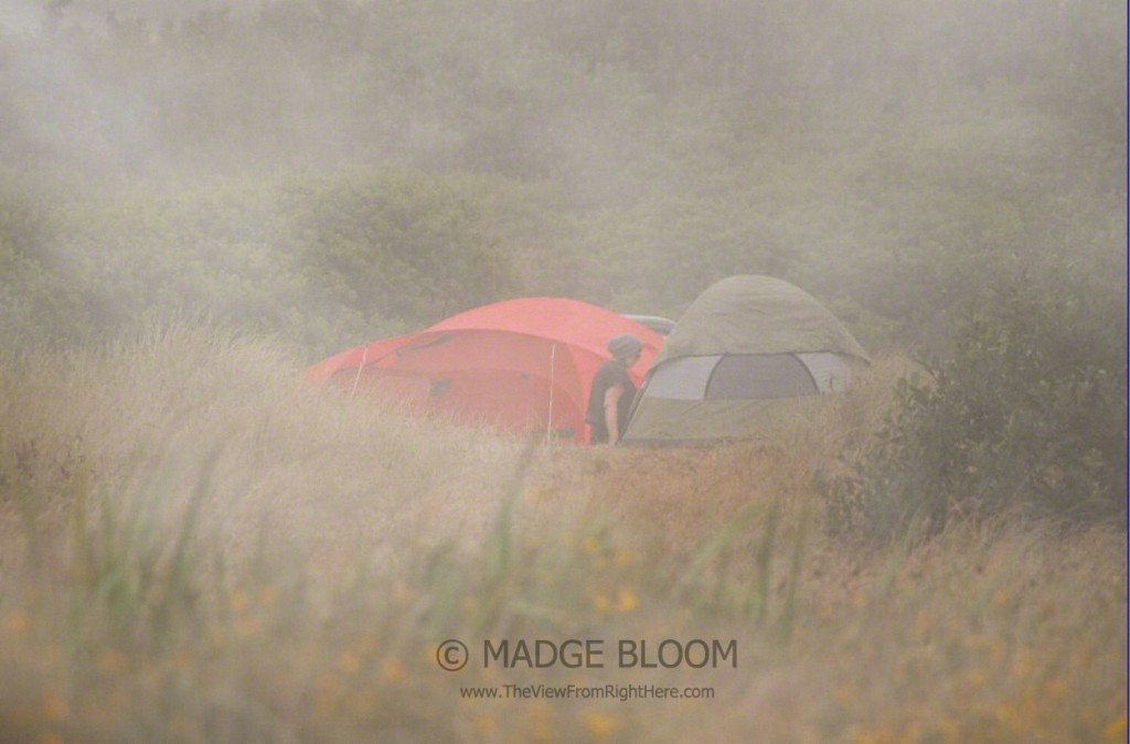 Camping in the Fog at Ocean Shores WA