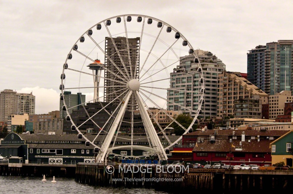 Seattle Great Wheel and Space Needle