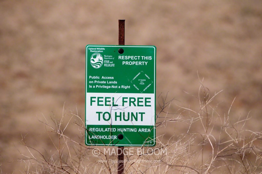Feel Free To Hunt - Whitman County WA
