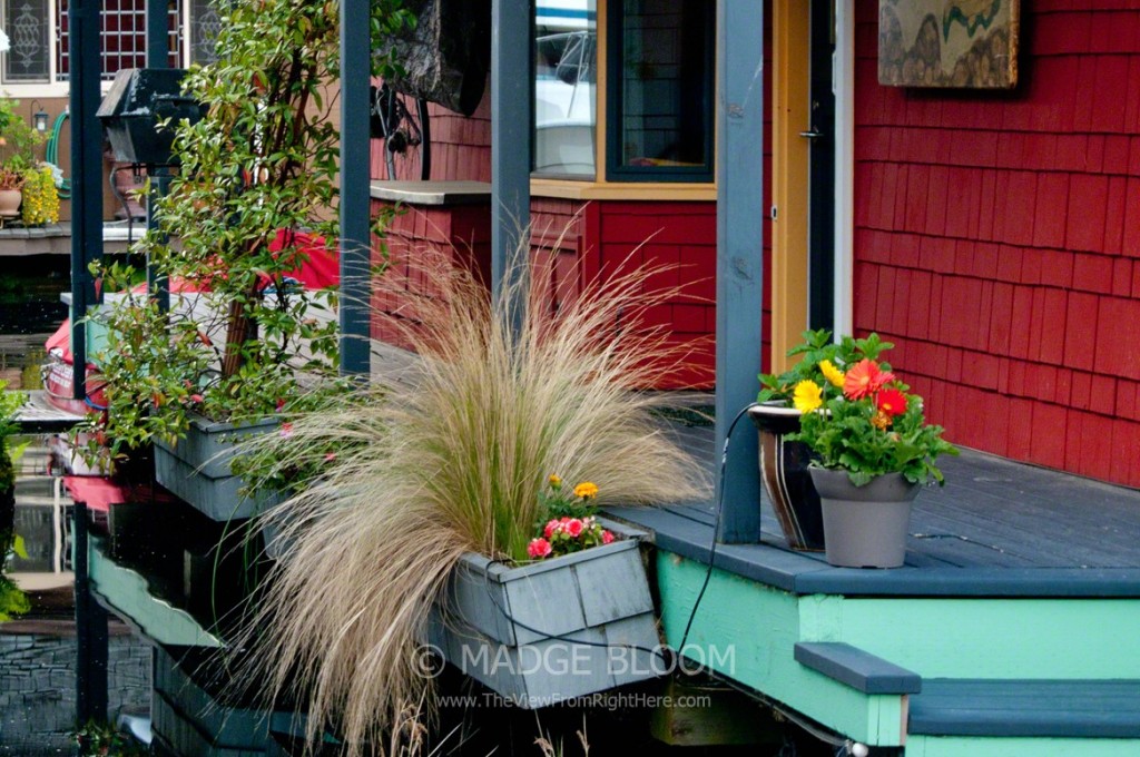Planter Boxes - Houseboat Porch - Lake Union - Seattle WA