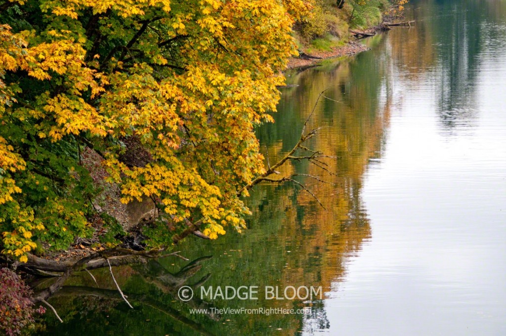 Snoqualmie River - Autumn Reflection