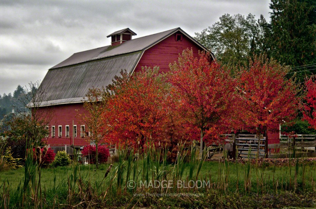 Red Barn on West Snoqualmie Valley Road