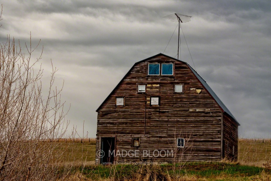 Barn or House - Viola, Idaho