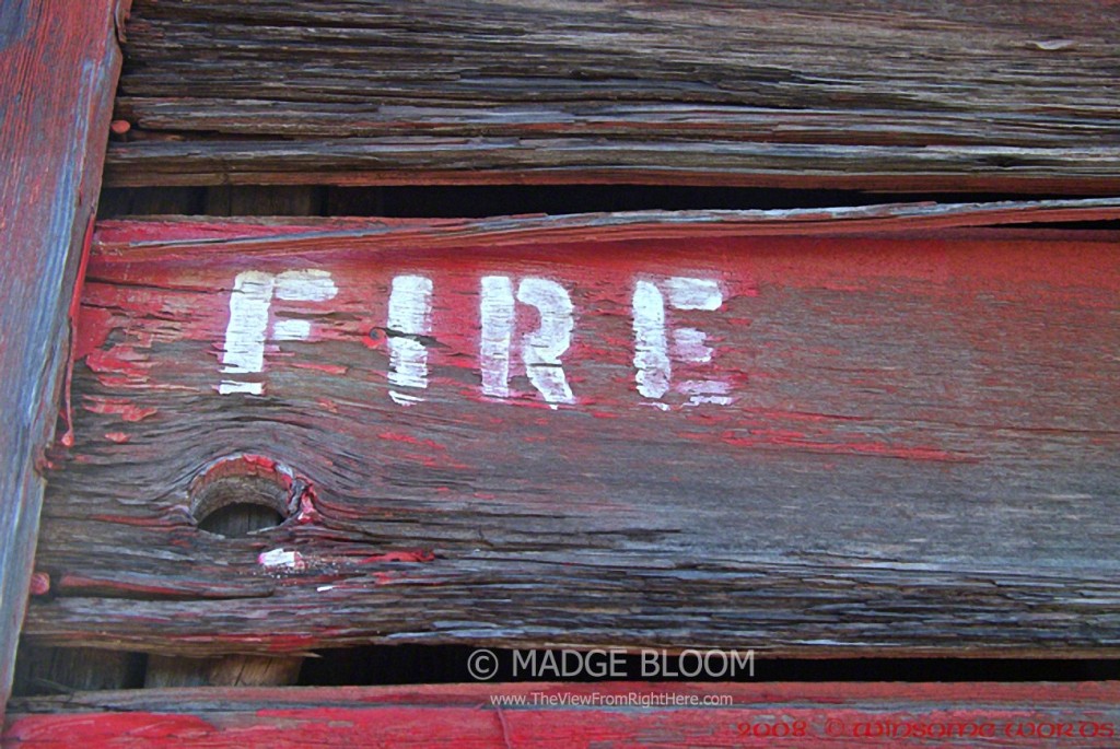 Fire Extinguisher - CarWin Lumber Company - Forks WA