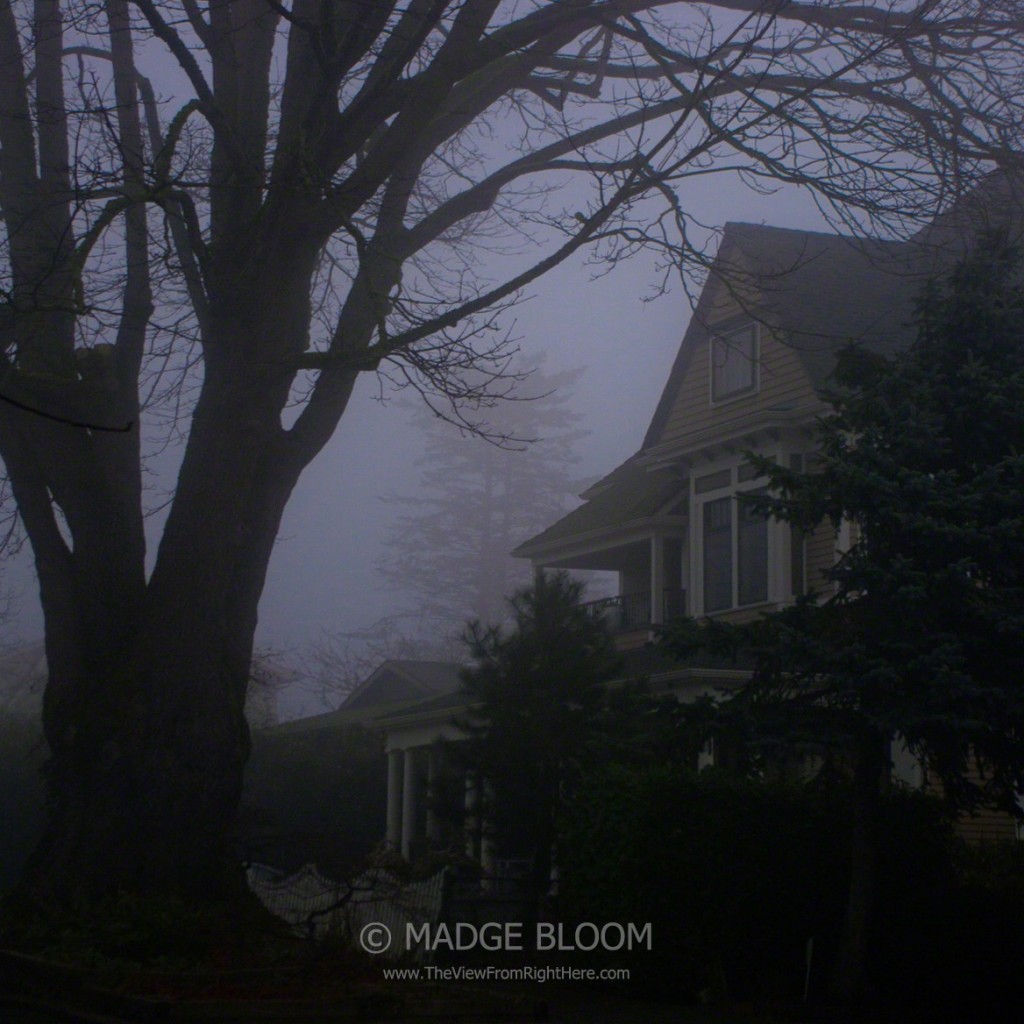 Foggy Edwardian - Madison Park Neighborhood - Seattle WA