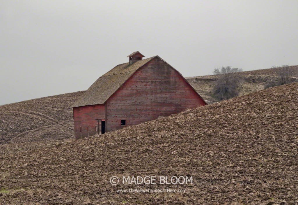 Red Barn near Steptoe Butte - Whitman County WA