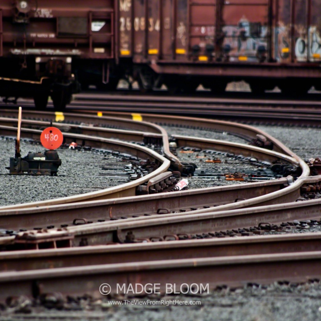 Railroad Rails - Intersection - Harbor Island - Seattle WA