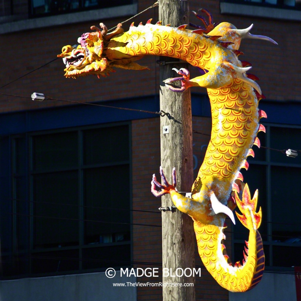 Chinatown Dragon -Seattle WA